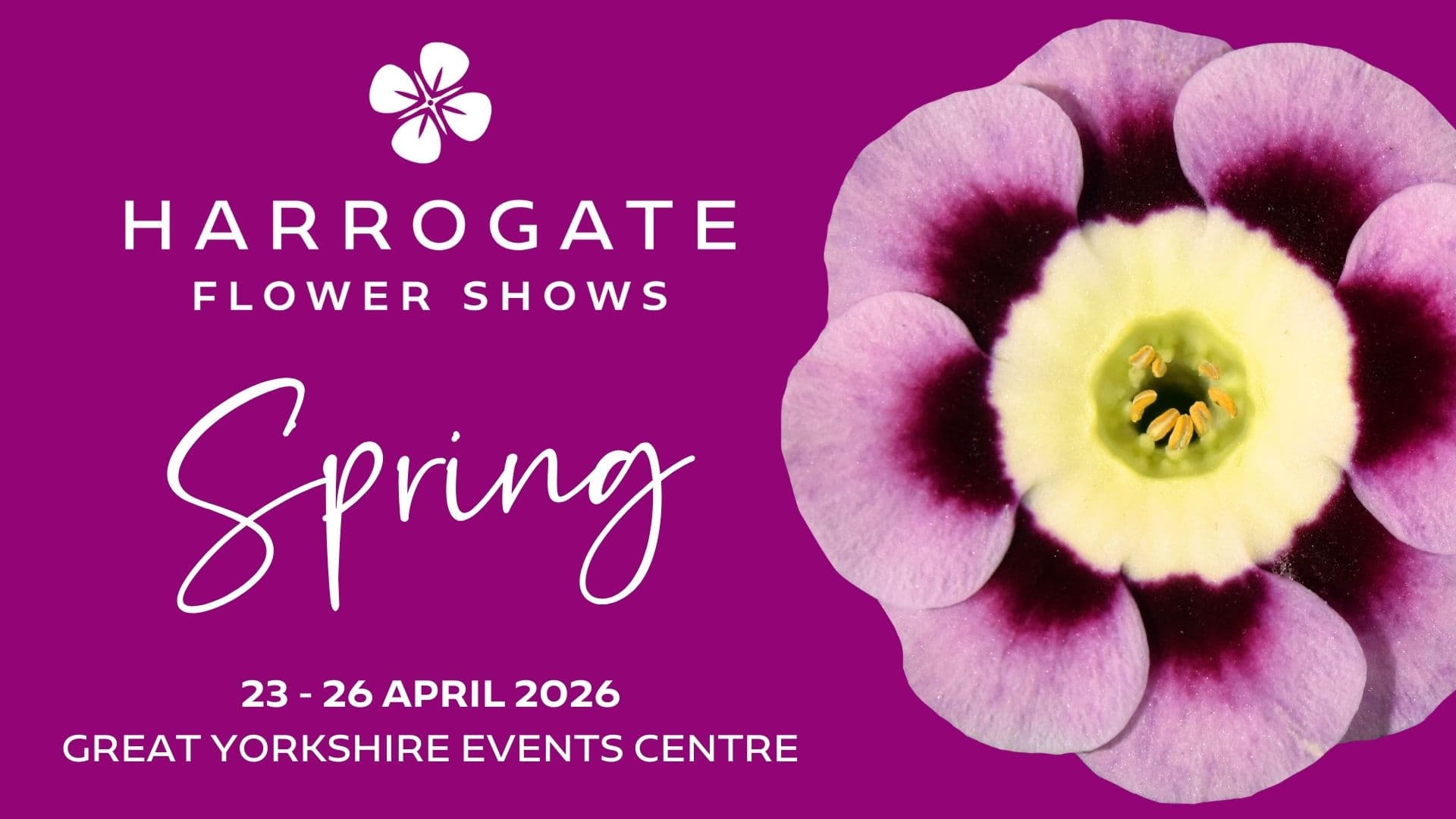 Harrogate Flower Show